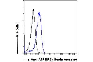 ABIN185092 Flow cytometric analysis of paraformaldehyde fixed HeLa cells (blue line), permeabilized with 0. (ATP6AP2 antibody  (C-Term))