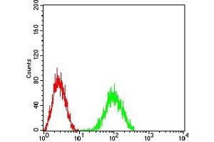 Flow cytometric analysis of HL-60 cells using CD204 mouse mAb (green) and negative control (red). (Macrophage Scavenger Receptor 1 antibody  (AA 275-451))