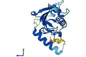 Protein Structure (PS) image for Ubiquitin-Conjugating Enzyme E2Q Family-Like 1 (UBE2QL1) (AA 1-161) protein (His tag) (ABIN7544842)