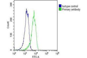 Overlay histogram showing A431 cells stained with (ABIN6242583 and ABIN6577176)(green line). (RAB1B antibody  (AA 1-201))