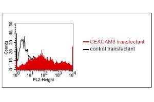 FACS analysis of BOSC23 cells using MUS. (CEACAM5/6 antibody)