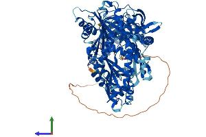 Protein Structure (PS) image for Piwi-Like 1 (PIWIL1) (AA 1-862) protein (His tag) (ABIN7565122)