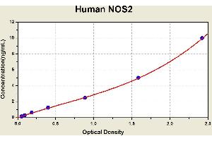 Diagramm of the ELISA kit to detect Human NOS2with the optical density on the x-axis and the concentration on the y-axis. (NOS2 ELISA Kit)