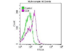 Overlay histogram showing Jurkat cells stained with ABIN7127286 (red line) at 1:50. (Recombinant CD9 antibody)