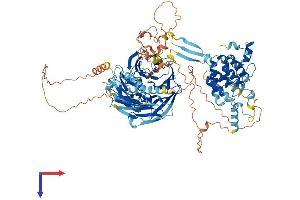 AlphaFold protein structure predicition of Human Recombinant WDR59 Protein, UniprotID Q6PJI9 (WDR59 Protein (AA 1-974) (His tag))