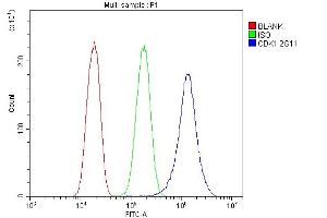 Flow Cytometry analysis of PC-3 cells using anti-CDK1 antibody (ABIN7602240). (CDK1 antibody  (AA 66-297))