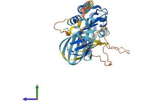 AlphaFold protein structure predicition of Human Recombinant SH3YL1 Protein, UniprotID Q96HL8 (SH3YL1 Protein (AA 1-342) (His tag))