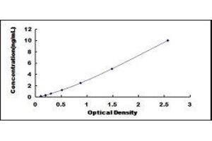 Myotubularin Related Protein 9 (MTMR9) ELISA Kit