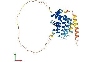 Protein Structure (PS) image for BCL2-Like 1 (BCL2L1) (AA 1-233) protein (His tag) (ABIN7563988)