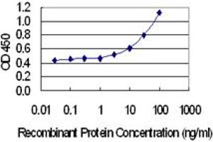 Detection limit for recombinant GST tagged CREBL2 is 1 ng/ml as a capture antibody. (CREBL2 antibody  (AA 1-120))