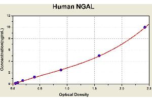 Diagramm of the ELISA kit to detect Human NGALwith the optical density on the x-axis and the concentration on the y-axis.
