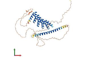 AlphaFold protein structure predicition of Mouse Recombinant Gabpb2 Protein, UniprotID P81069