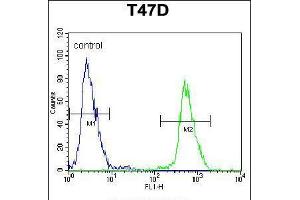 Flow cytometric analysis of T47D cells (right histogram) compared to a negative control cell (left histogram). (NUP210 antibody  (N-Term))