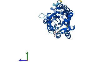 AlphaFold protein structure predicition of Human Recombinant UROS Protein, UniprotID P10746 (UROS Protein (AA 1-265) (His tag))