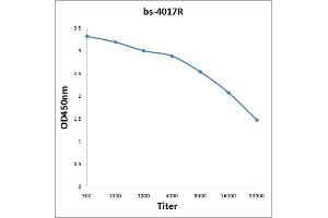 Antigen: 0. (c-MYC antibody  (pThr358))