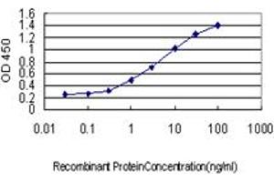 Detection limit for recombinant GST tagged SLC4A4 is approximately 0. (SLC4A4 antibody  (AA 1-646))