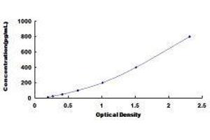 ELISA image for Oxidized Low Density Lipoprotein (Lectin-Like) Receptor 1 (OLR1) ELISA Kit (ABIN424108)
