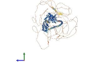AlphaFold protein structure predicition of Mouse Recombinant Sycp2 Protein, UniprotID Q9CUU3 (SYCP2 Protein (AA 1-1500) (His tag))