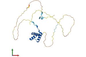 AlphaFold protein structure predicition of Mouse Recombinant Nkx2-8 Protein, UniprotID O70584 (NKX2-8 Protein (AA 1-235) (His tag))