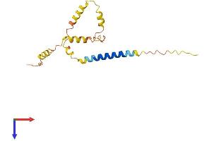 AlphaFold protein structure predicition of Human Recombinant FAM74A7 Protein, UniprotID A6NL05 (FAM74A7 Protein (AA 1-159) (His tag))