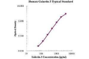 ELISA image for Galectin 3 (LGALS3) ELISA Kit (ABIN3198534)