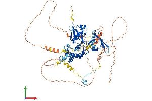 Protein Structure (PS) image for erythrocyte Membrane Protein Band 4.1 Like 4A (EPB41L4A) (AA 1-686) protein (His tag) (ABIN7563428)