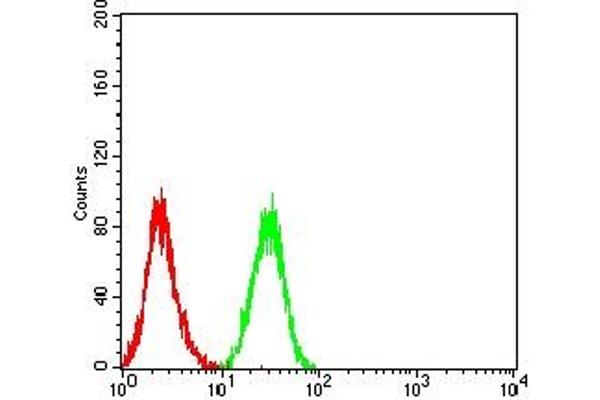 ITGAL antibody  (AA 26-194)