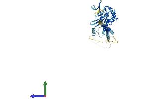 AlphaFold protein structure predicition of Human Recombinant SEPTIN14 Protein, UniprotID Q6ZU15