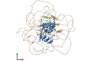 Protein Structure (PS) image for Testis Expressed 14 (TEX14) (AA 1-1497) protein (His tag) (ABIN7555707)