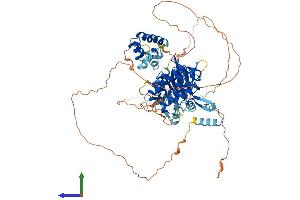 AlphaFold protein structure predicition of Mouse Recombinant Irak1 Protein, UniprotID Q62406