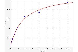 HSPBP1 ELISA Kit