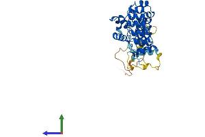AlphaFold protein structure predicition of Mouse Recombinant Asb1 Protein, UniprotID Q9WV74 (ASB1 Protein (AA 1-336) (His tag))