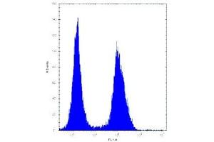 ASS1 antibody flow cytometric analysis of Jurkat cells (right histogram) (ASS1 antibody  (AA 281-310))