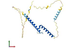 AlphaFold protein structure predicition of Mouse Recombinant Bhlha15 Protein, UniprotID Q9QYC3 (BHLHA15 Protein (AA 1-197) (His tag))
