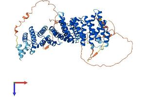 AlphaFold protein structure predicition of Mouse Recombinant Rrn3 Protein, UniprotID B2RS91 (RRN3 Protein (AA 1-656) (His tag))