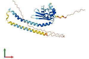 Protein Structure (PS) image for Testis Specific Protein, Y-Linked 1 (TSPY1) (AA 1-308) protein (His tag) (ABIN7544755)