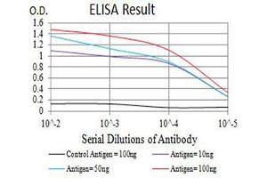 Black line: Control Antigen (100 ng),Purple line: Antigen (10 ng), Blue line: Antigen (50 ng), Red line:Antigen (100 ng) (RANKL antibody  (AA 74-308))