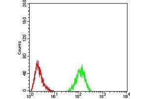 Flow cytometric analysis of Hela cells using RAD50 mouse mAb (green) and negative control (red). (RAD50 antibody  (AA 228-359))