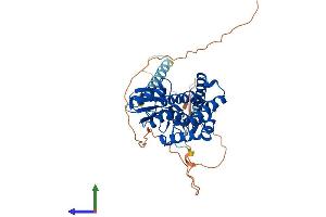 AlphaFold protein structure predicition of Mouse Recombinant Faxc Protein, UniprotID Q3UMF9 (C6orf168 Protein (AA 1-409) (His tag))