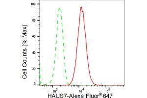 Flow cytometric analysis of HAUS7 expression in HepG2 cells using HAUS7 antibody (ABIN7798838), 1:2,000). (Recombinant HAUS7 antibody)