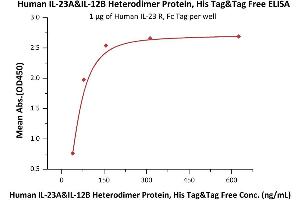 IL12A & IL27B (AA 20-189) (Active) protein (His tag)