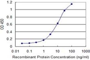 Detection limit for recombinant GST tagged KLF10 is 0. (KLF10/TIEG1 antibody  (AA 111-210))