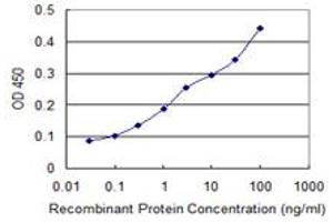 Detection limit for recombinant GST tagged RNF157 is 0. (RNF157 antibody  (AA 556-655))