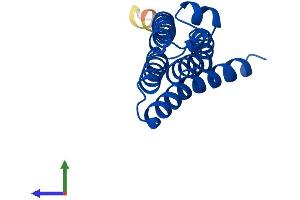 AlphaFold protein structure predicition of Mouse Recombinant Ptges Protein, UniprotID Q9JM51 (Prostaglandin E Synthase Protein (PTGES) (AA 1-153) (His tag))
