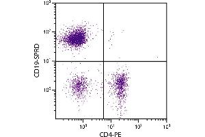 C57BL/6 mouse splenocytes were stained with Rat Anti-Mouse CD19-SPRD. (CD19 antibody  (PE-Cy5.5))