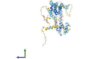 Protein Structure (PS) image for Pre-mRNA Processing Factor 31 (PRPF31) (AA 1-499) protein (His tag) (ABIN7550962)