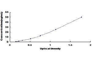 Typical Standard Curve (Intestinal Alkaline Phosphatase ELISA Kit)