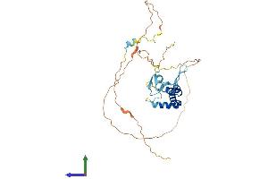 Protein Structure (PS) image for Sprouty Homolog 1, Antagonist of FGF Signaling (SPRY1) (AA 1-319) protein (His tag) (ABIN7546436)