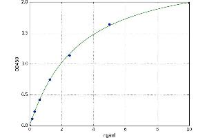 alpha Ketoglutarate Dehydrogenase (alphaKGDHC) ELISA Kit