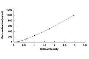 ELISA image for Transforming Growth Factor, beta 2 (TGFB2) ELISA Kit (ABIN1874247)